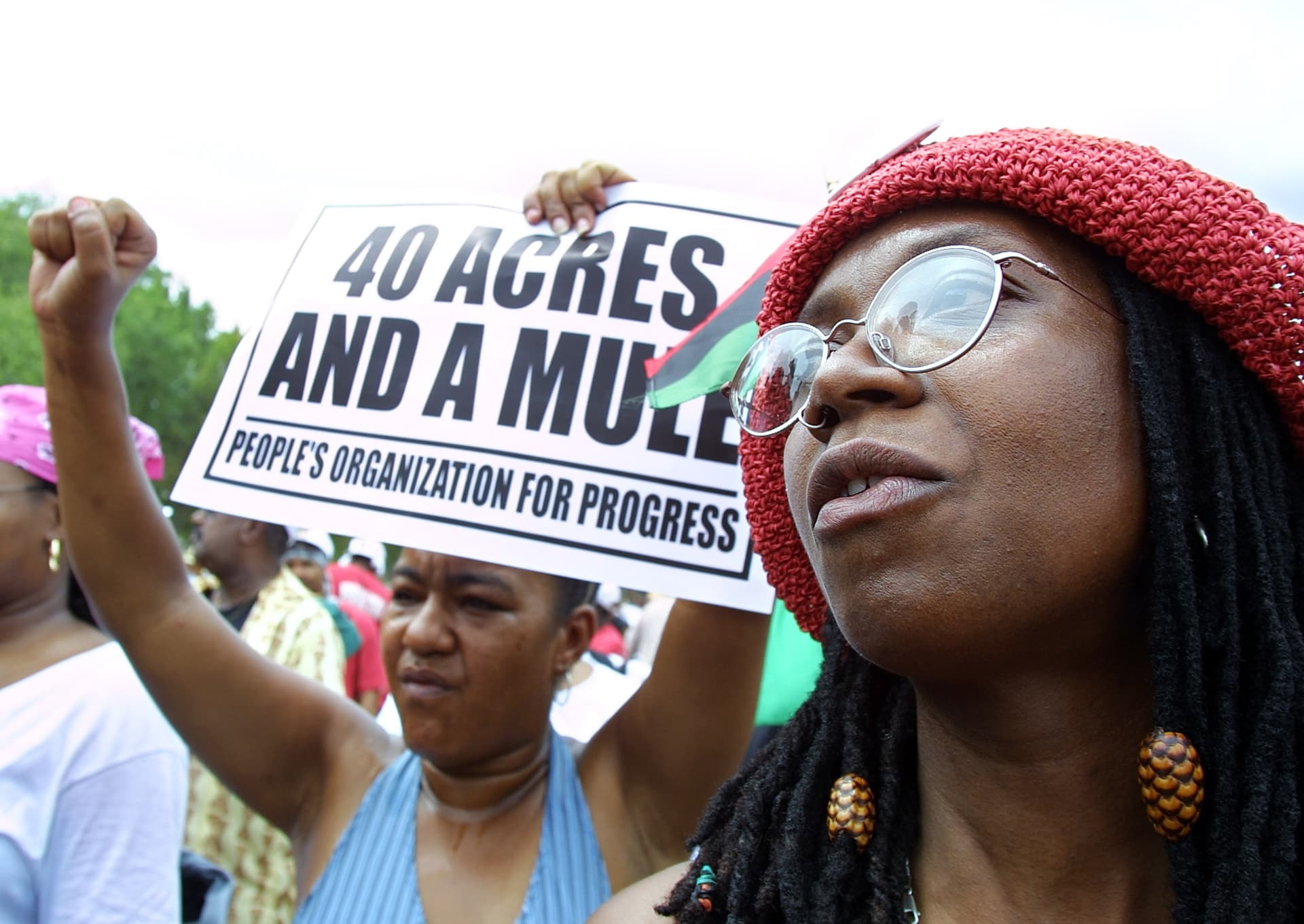 Manny Ceneta/Getty Images Demonstrators call for slavery reparations on the National Mall at Washington, DC.