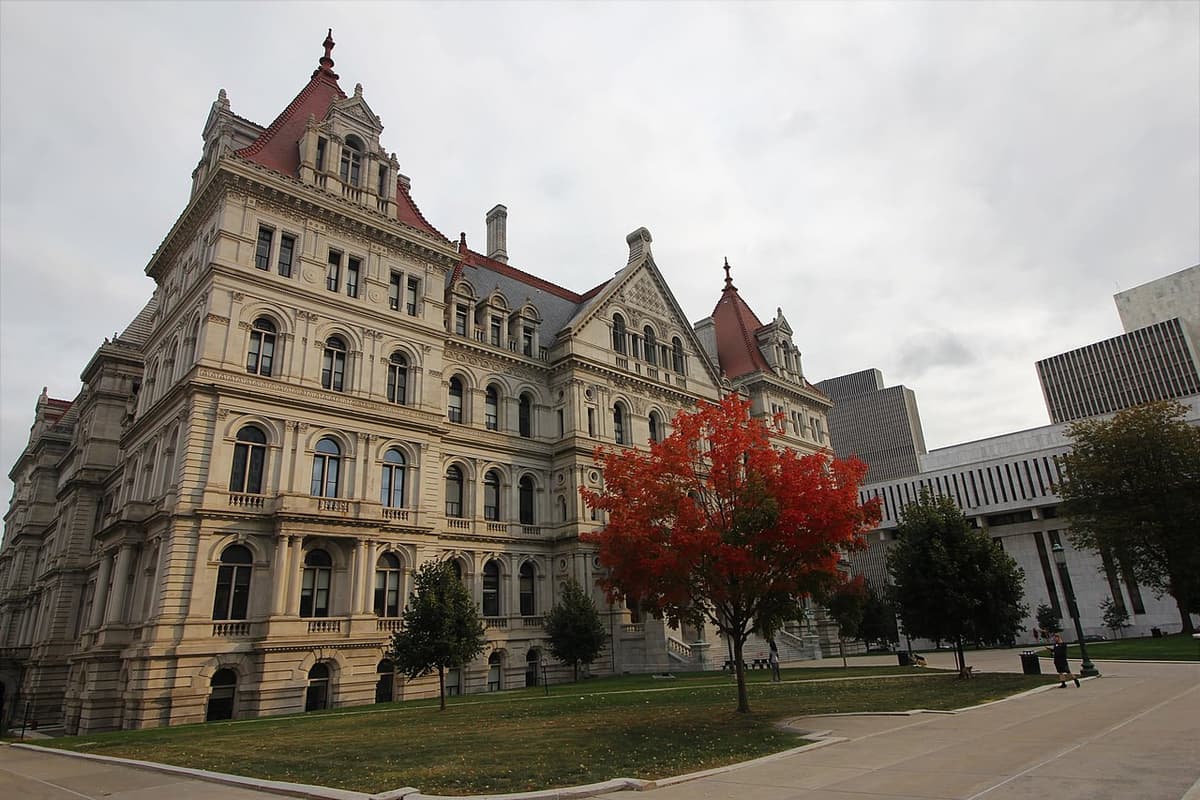 Tyler A. McNeil via Wikimedia Commons CC4.0