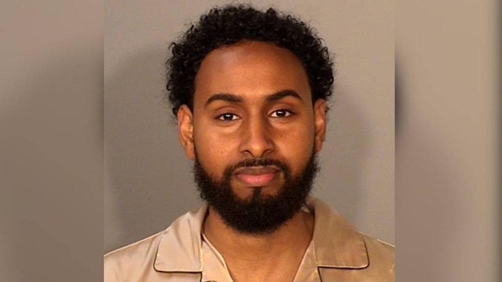 Via X Medicare fraud suspect Salman Elmi is seen in a booking photo released by the Ramsey County Sheriff's Office in Minnesota on August 17, 2026.
