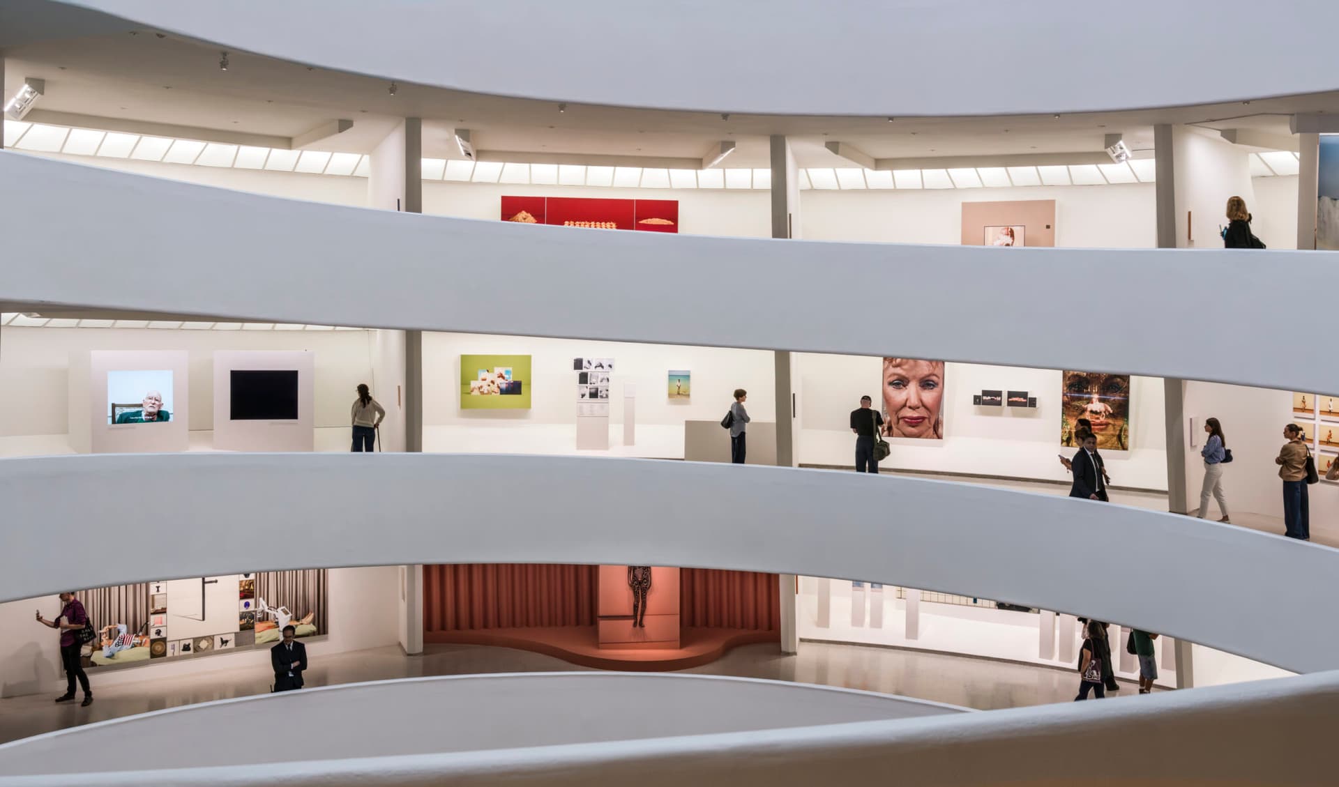 Guggenheim Taryn Simon, 'Father Country I Do Love You' at the Guggenheim Museum.