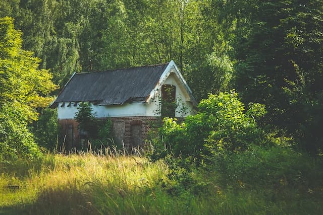 Malte Luk via Pexels.com