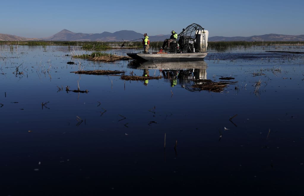 Justin Sullivan/Getty Images