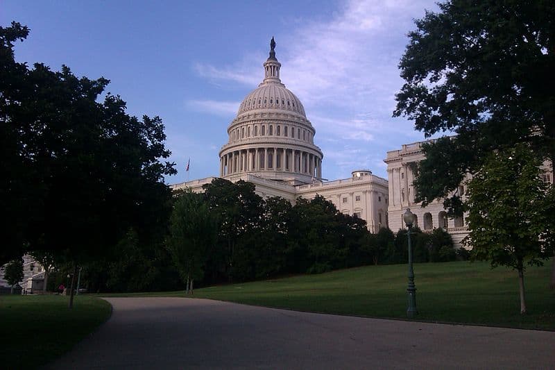 Daniel Mietchen via Wikimedia Commons