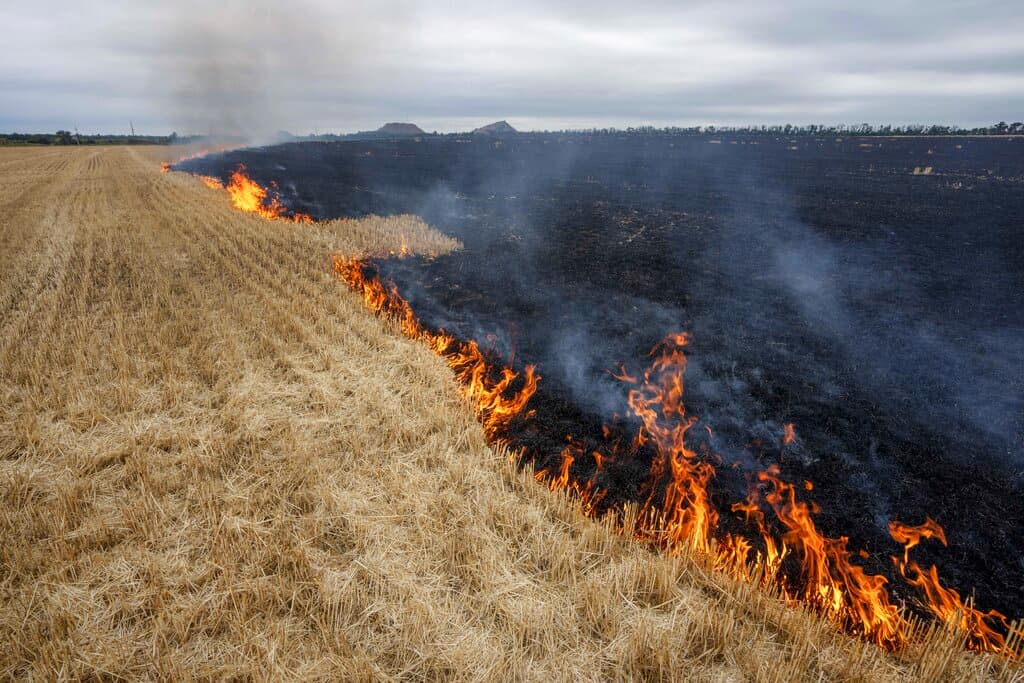 AP/Nariman El-Mofty Grain fields burn in eastern Ukraine, July 21, 2022.