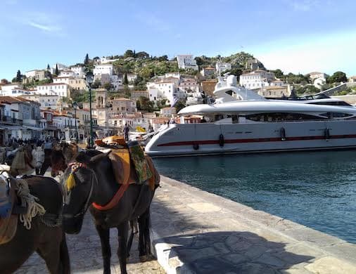 The New York Sun/Anthony Grant