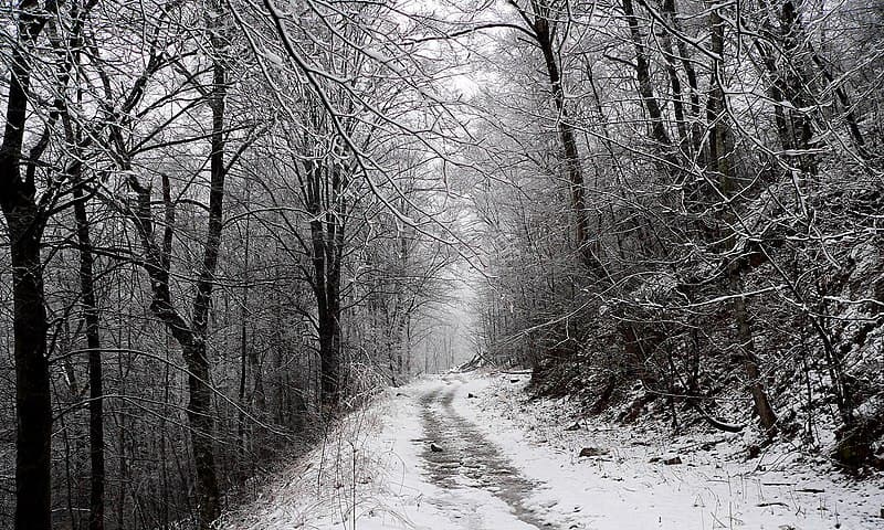 Ken Thomas via Wikimedia Commons