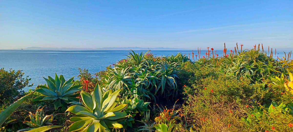 Anthony Grant/The New York Sun