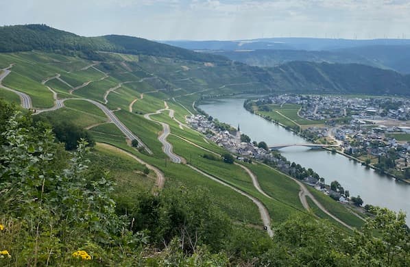 Clara Dalzell/The New York Sun