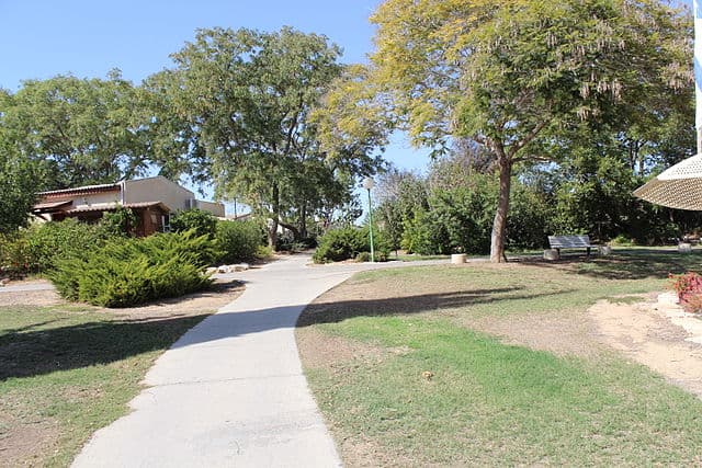 Deror Avi via Wikimedia Commons