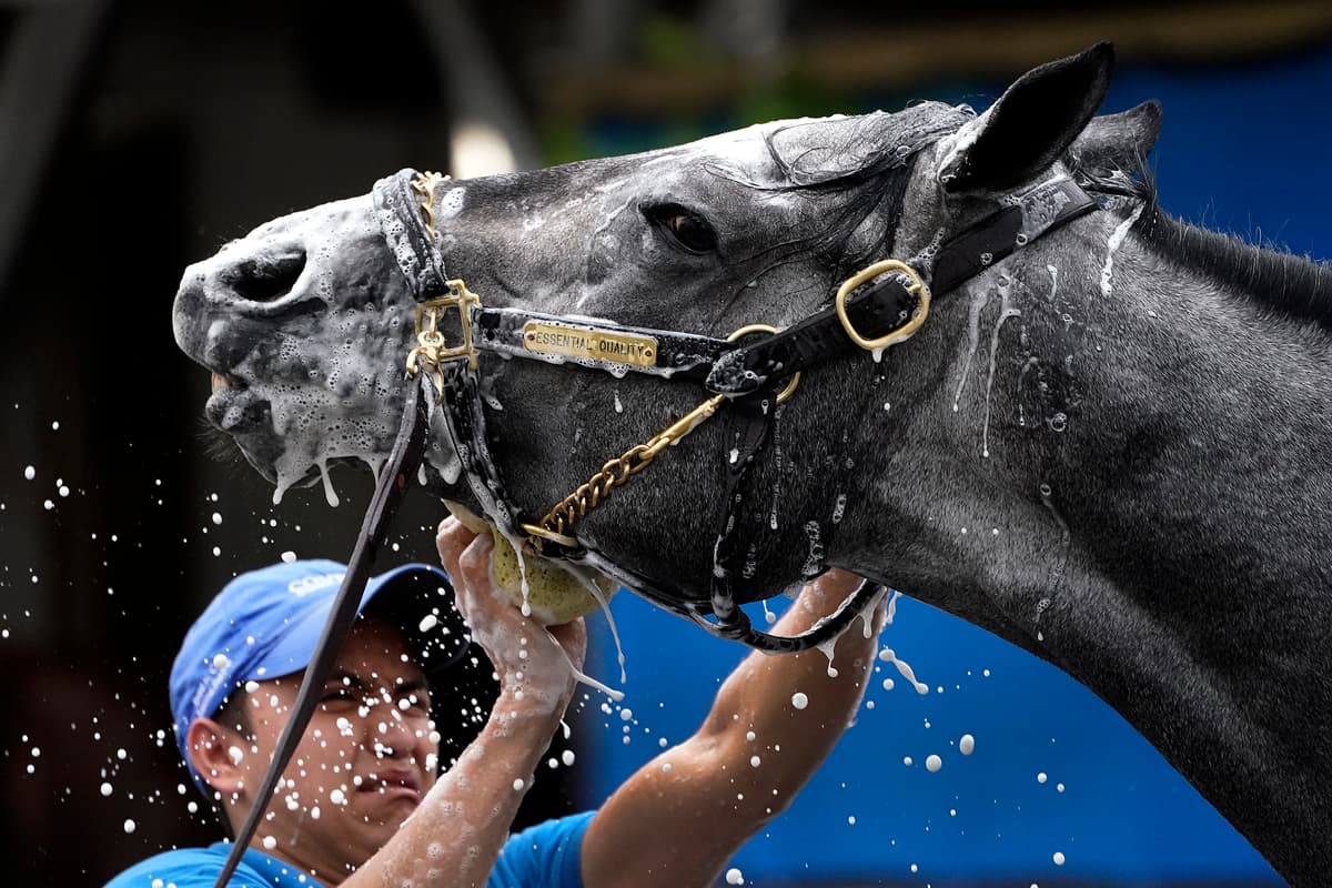 AP Photo/Charlie Riedel