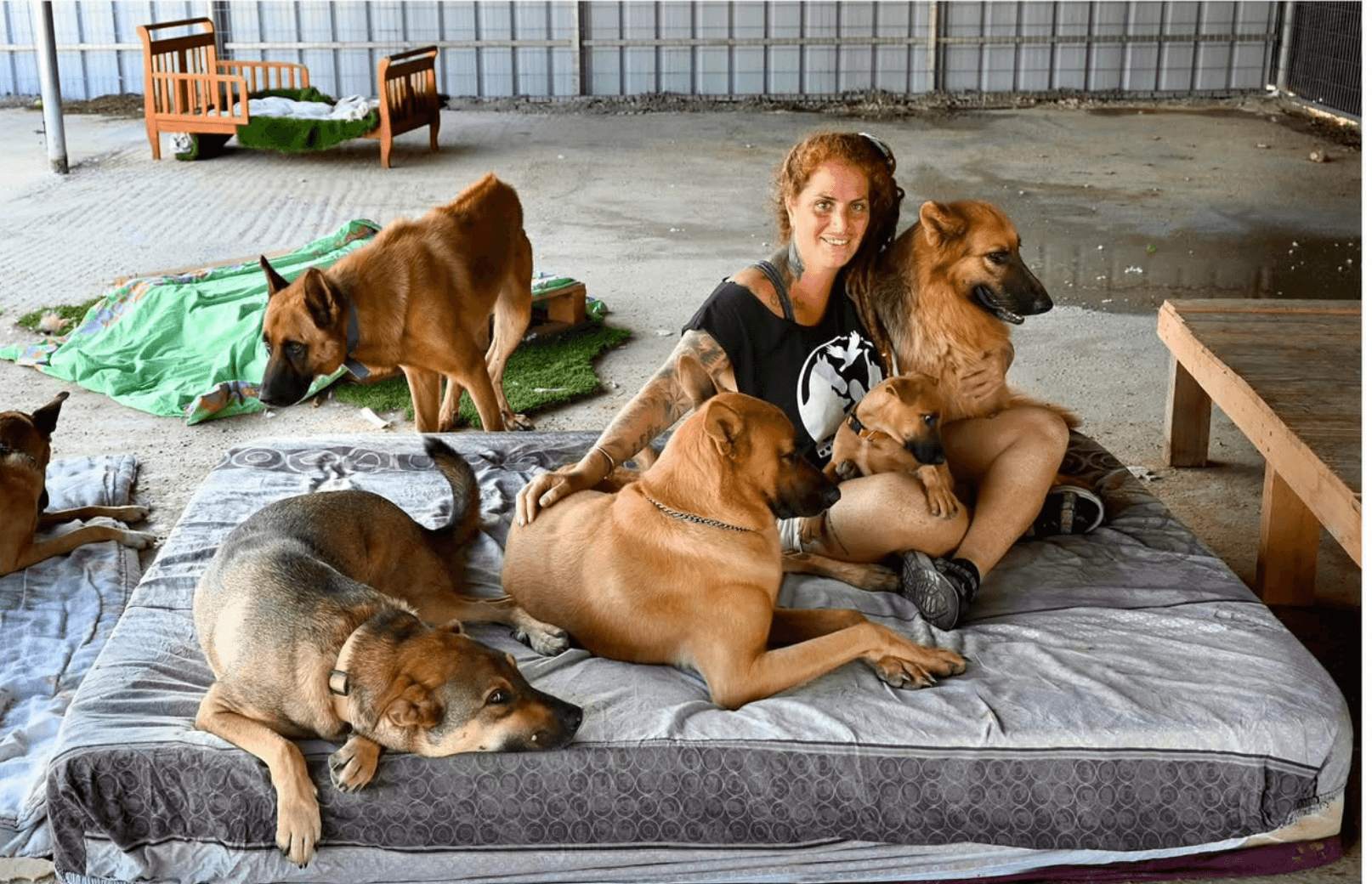 Via Shanti Farm Animal advocate Inbal Kessem sits with rescued animals at Shanti Farm.