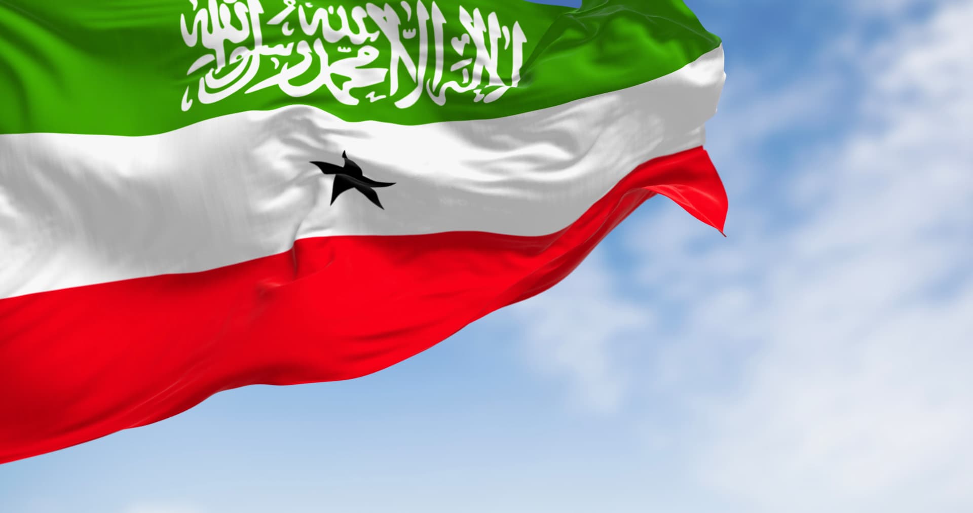 Getty Images Somaliland's national flag.