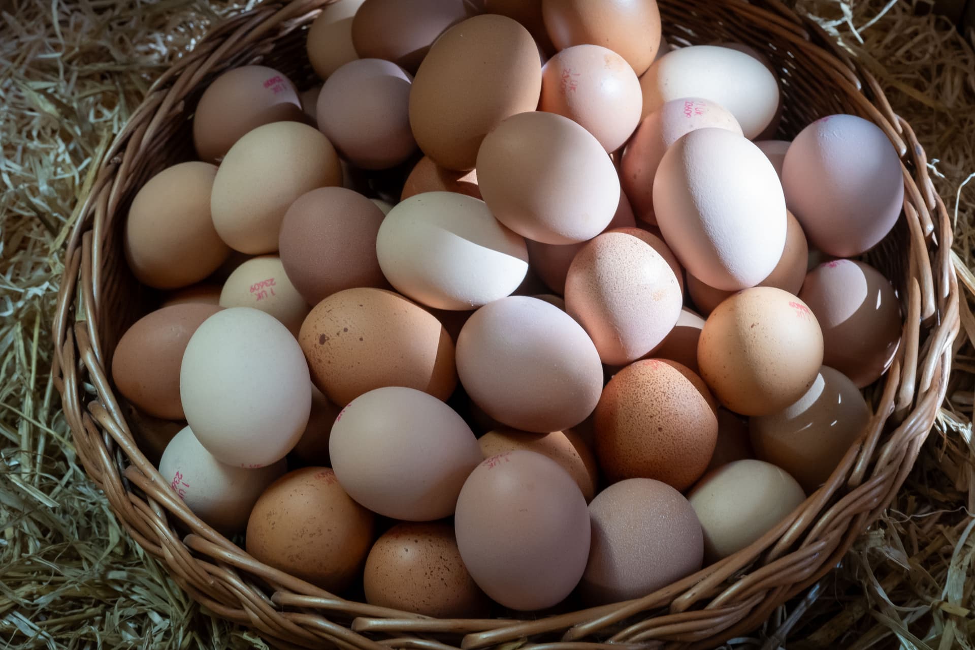 Matthew Horwood/Getty Images Both brown and white eggs are seen in a basket in a farm shop at Cardiff, Wales, on April 9, 2025.