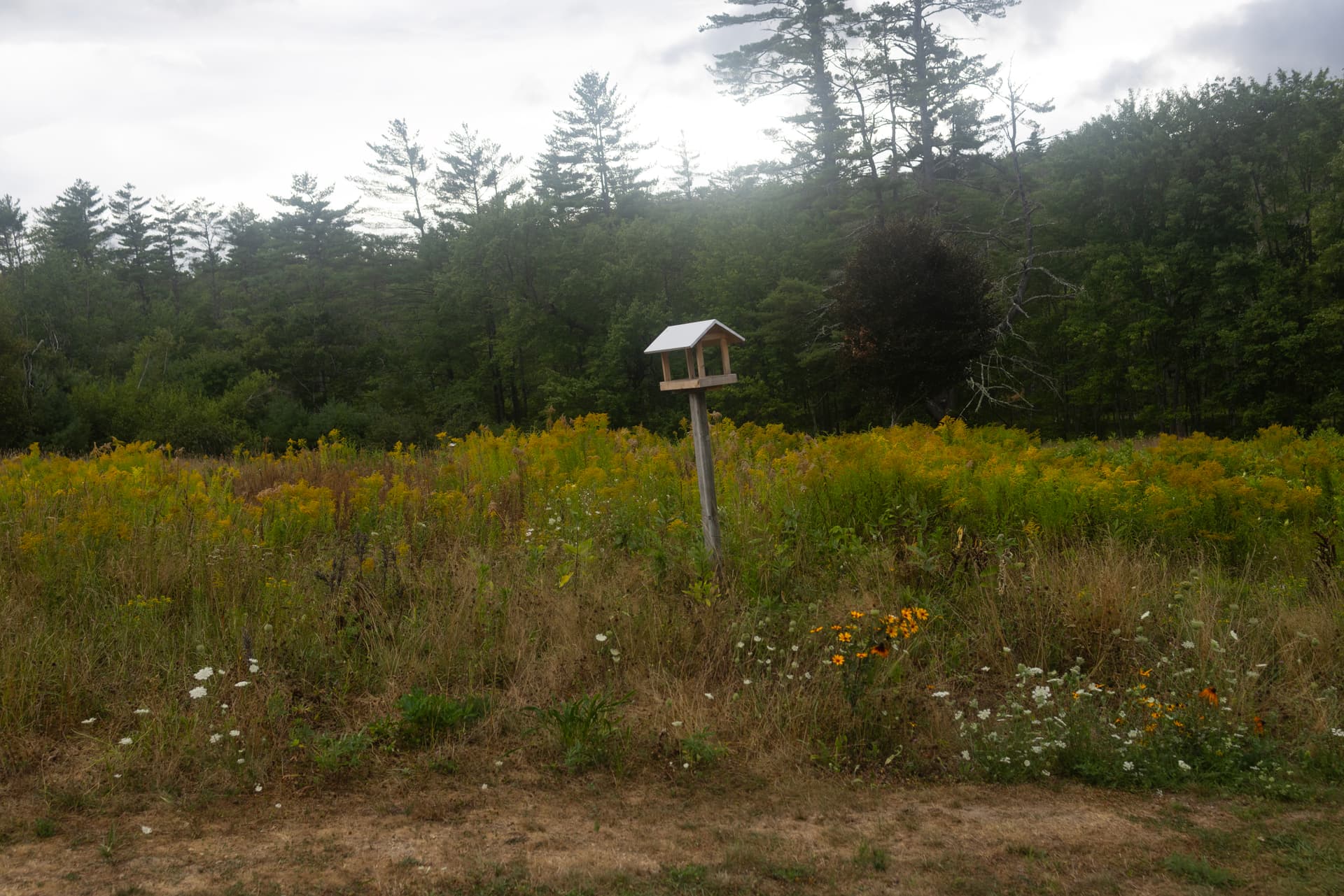 Andrew Lichtenstein/Corbis via Getty Images A birdhouse decorates a homeowner’s field at Lovell, Maine, on August 17, 2025.