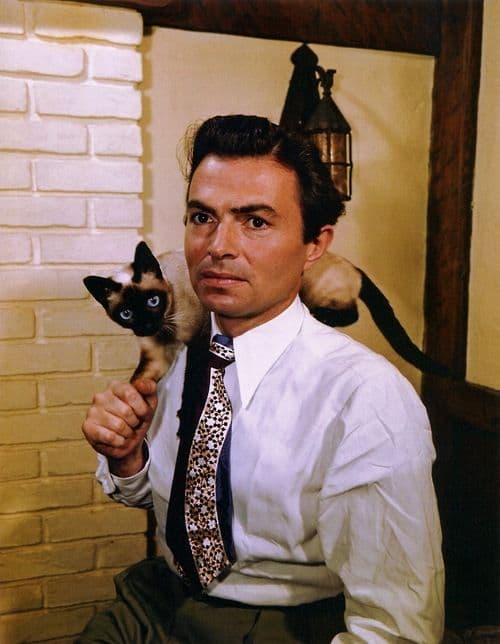 Via Hulton Archive/Getty Images James Mason with a siamese cat, circa 1945.