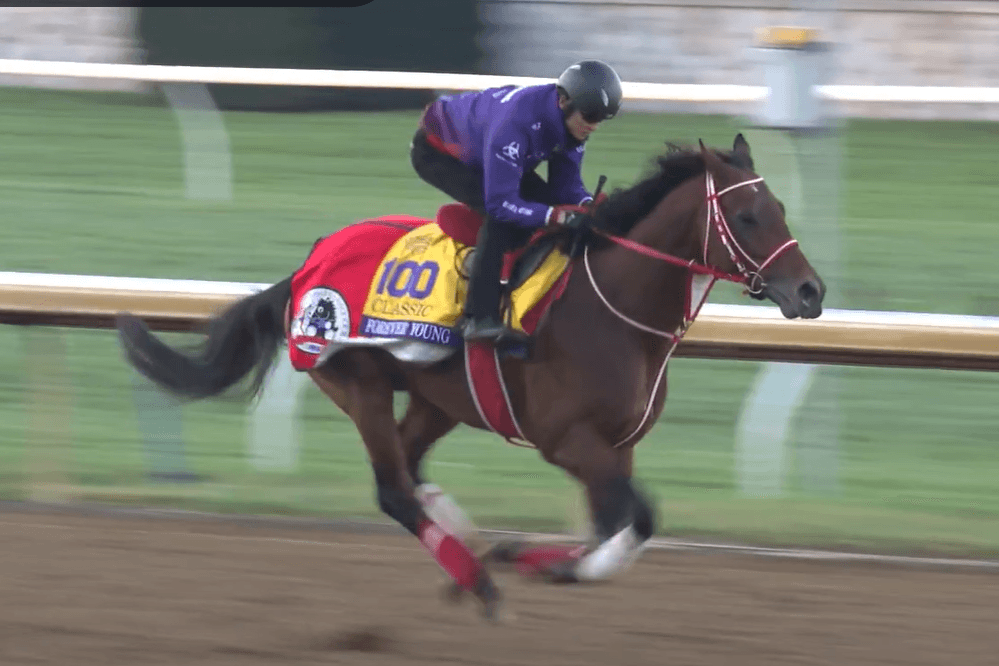 Via X Breeders’ Cup Classic favorite Forever Young works out at Keeneland Race Course at Lexington, Kentucky, in late October 2026.