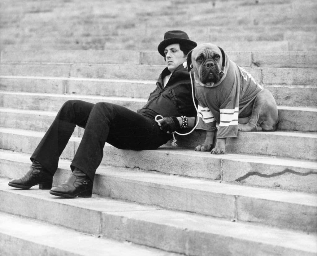Via United Artists/Courtesy of Getty Images Sylvester Stallone and his dog in 'Rocky.'