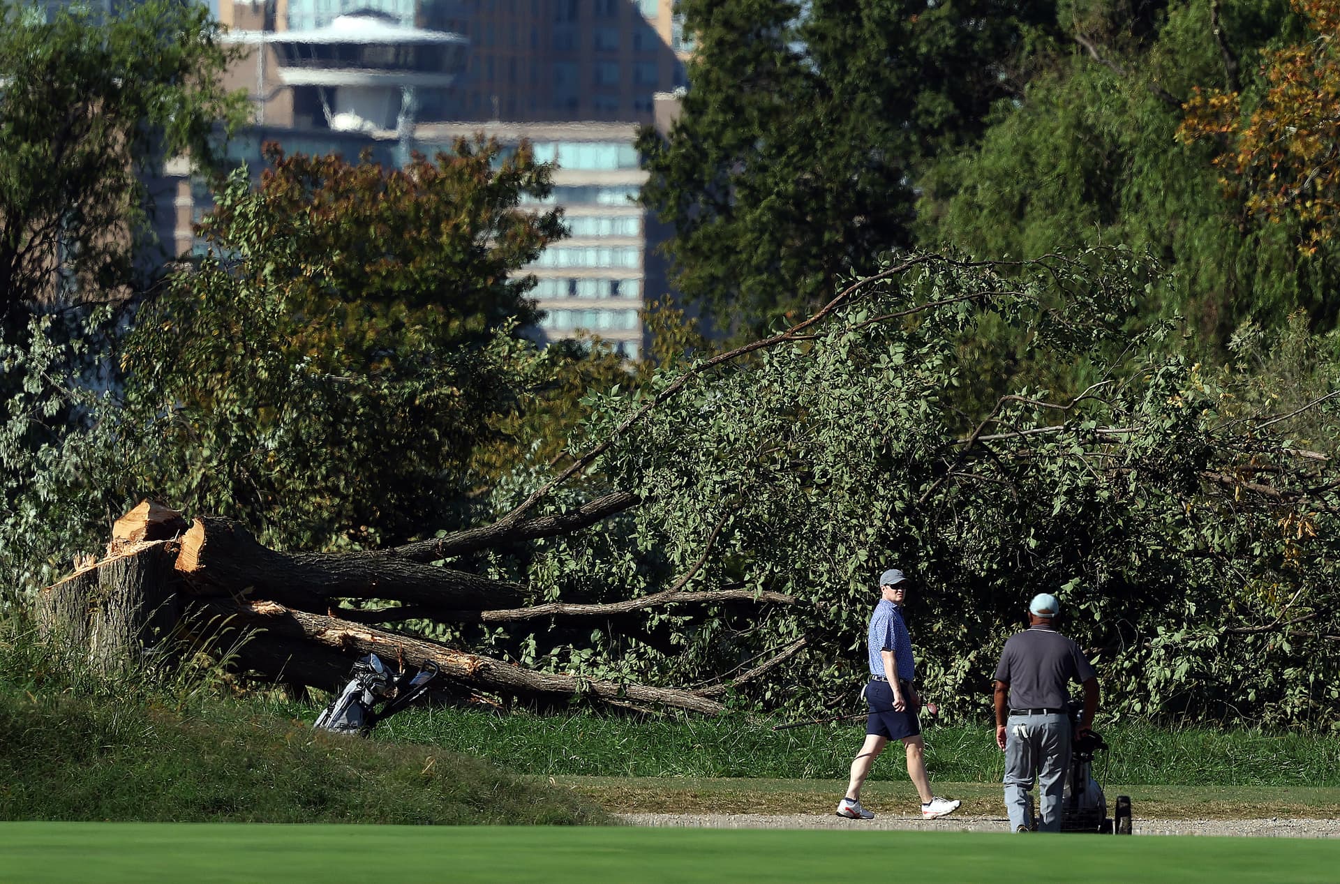 Kevin Dietsch/Getty Images Golfers walk to a green in front of newly felled trees at Washington D.C.’s East Potomac Golf Course on October 13, 2026.